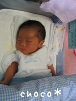 ����ɂ��̐Q��