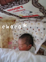 �X�k�[�s�[�̕z�c��