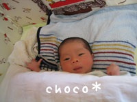 �I�e�e�𓮂�����