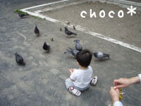 �s�������̃n�g