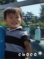 �������f�r���[