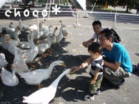 �K�`���E�ɃG�T