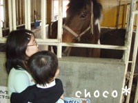 ���n����Ƃ��Ζ�