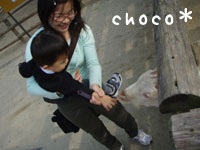 ���M����ɉa���