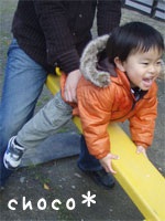 �V�[�\�[�f�r���[