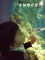 �����ق̒��ł�