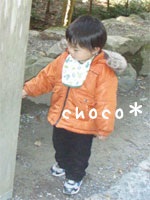 ���̂�͒�����