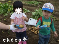 �W���K�C���@��