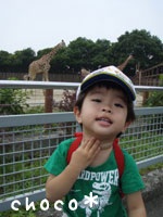 �L��������̎�͒���