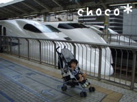 ��������̐V������