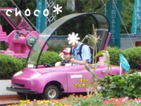 �Ԃ̏�蕨�f�r���[