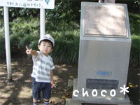 �傫������