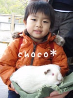 �������ɒ���