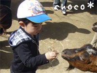 ���т���