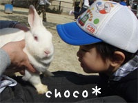 ����ɂ���