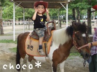 ��l�Ń|�j�[��