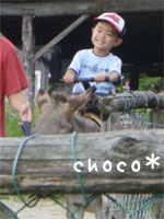 �Ί�Ń��o�ɏ���ā�