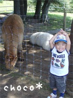 �ߐ{�ǂ��Ԃ���